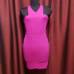 Express Fushia Bodycon Dress (new w/tag)
